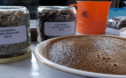 Pasca Deklarasi Republik Kopi, Bondowoso Diserbu Buyer